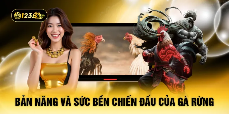 Bản năng và sức bền chiến đấu của gà rừng
